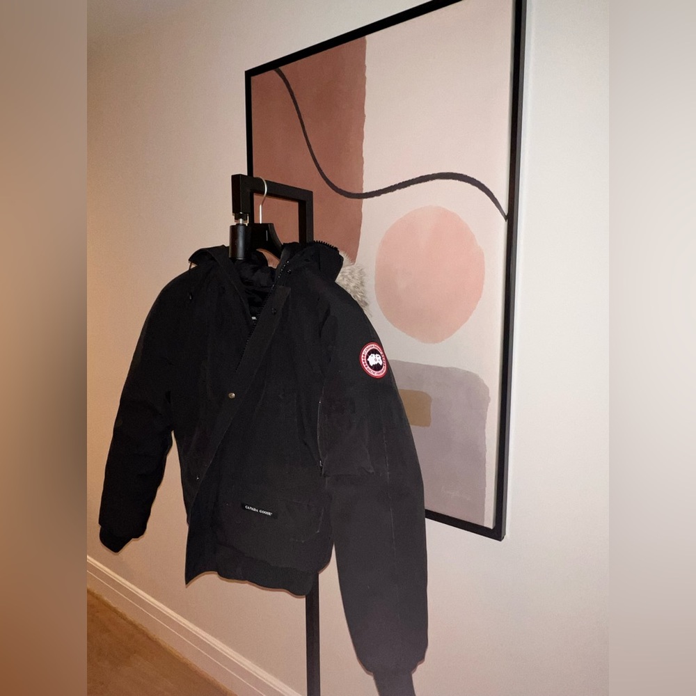 Black Canada goose, Medium size.